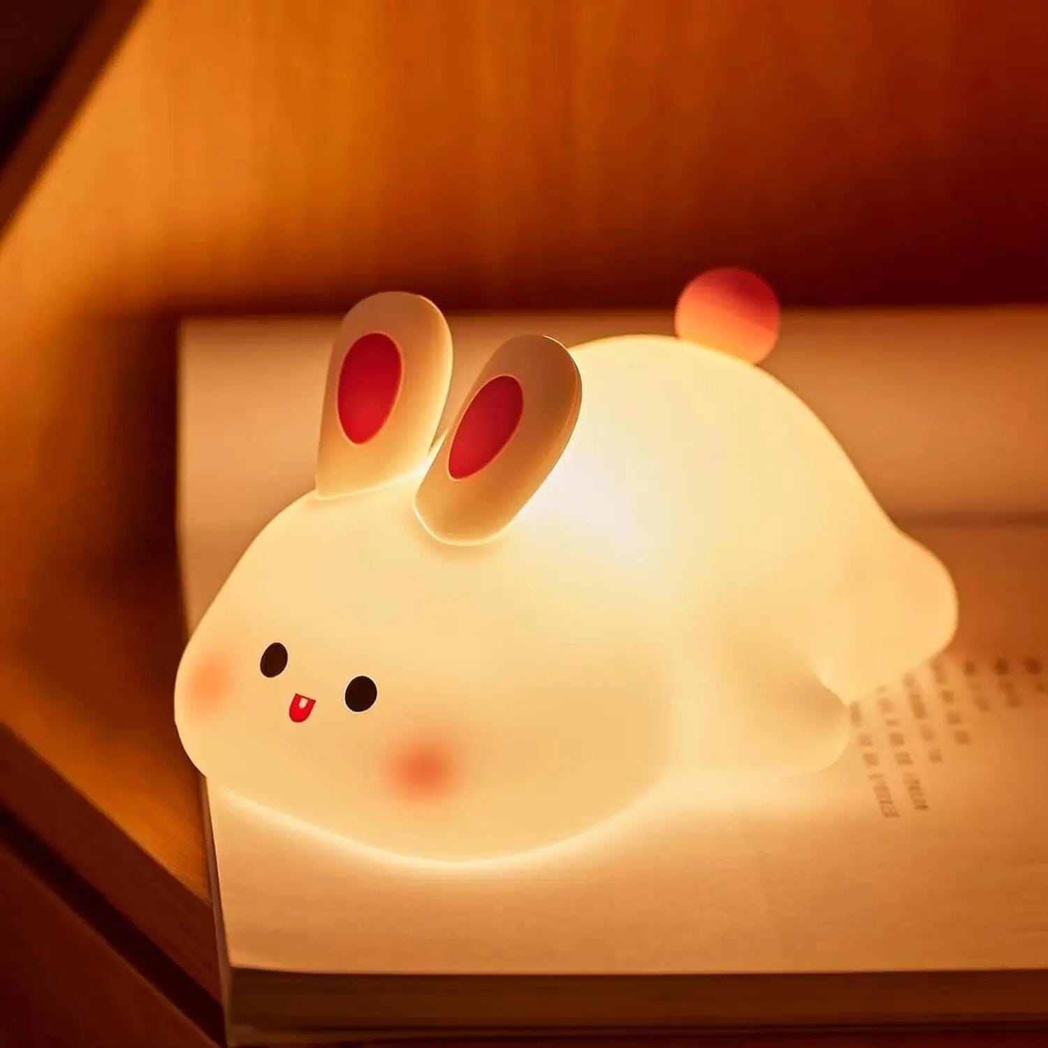 Bunny Silicone Night Lamp or a Sleeping Rabbit Night Light.